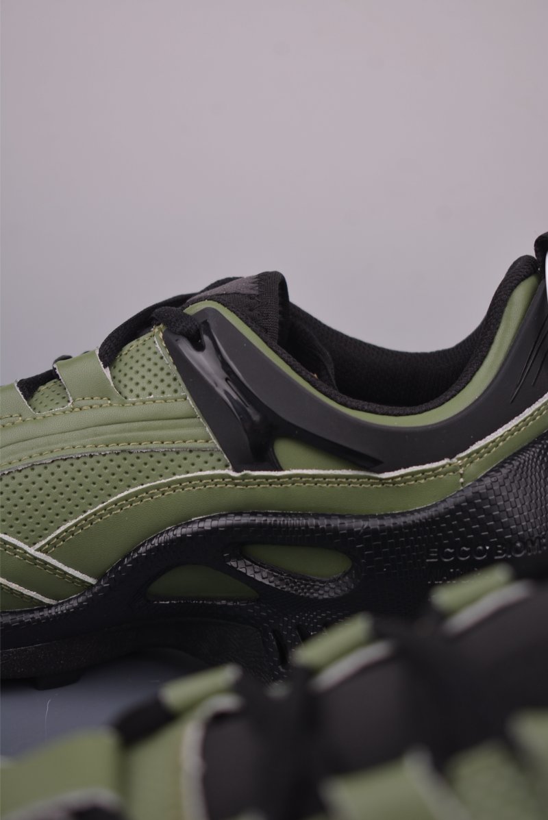 Ecco Biom Gore-Tex view