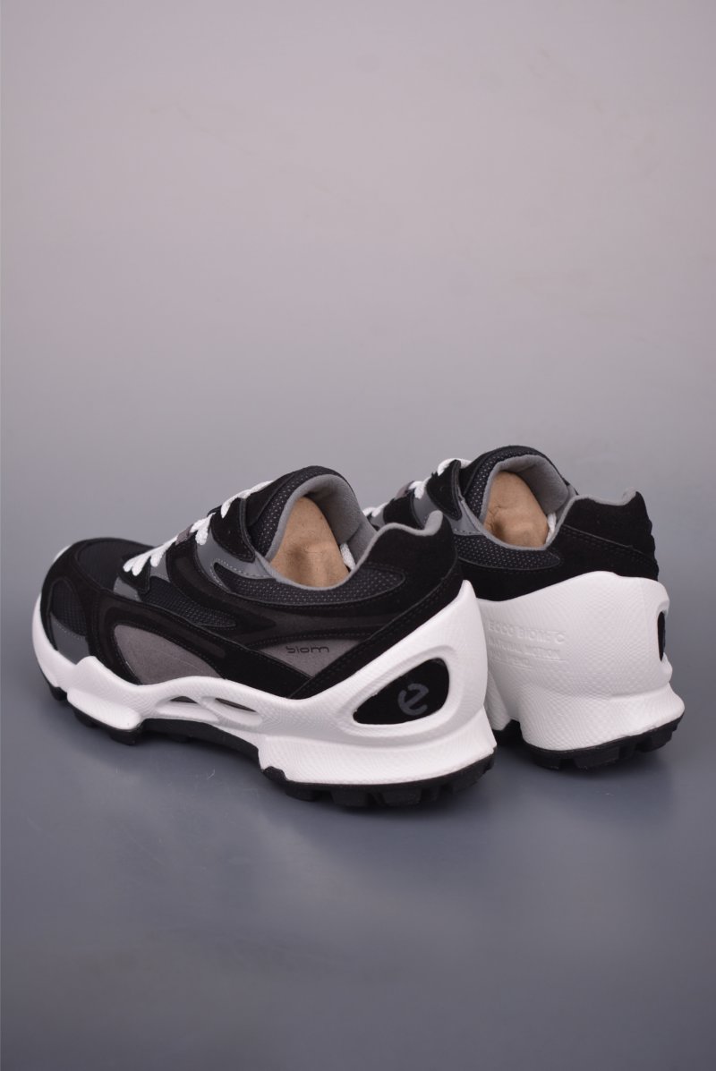 Ecco Biom Gore-Tex view