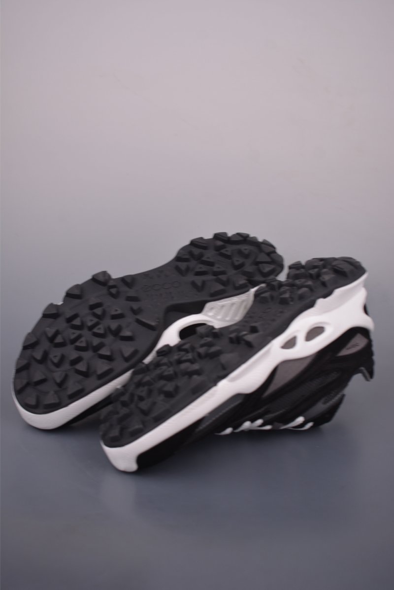 Ecco Biom Gore-Tex view