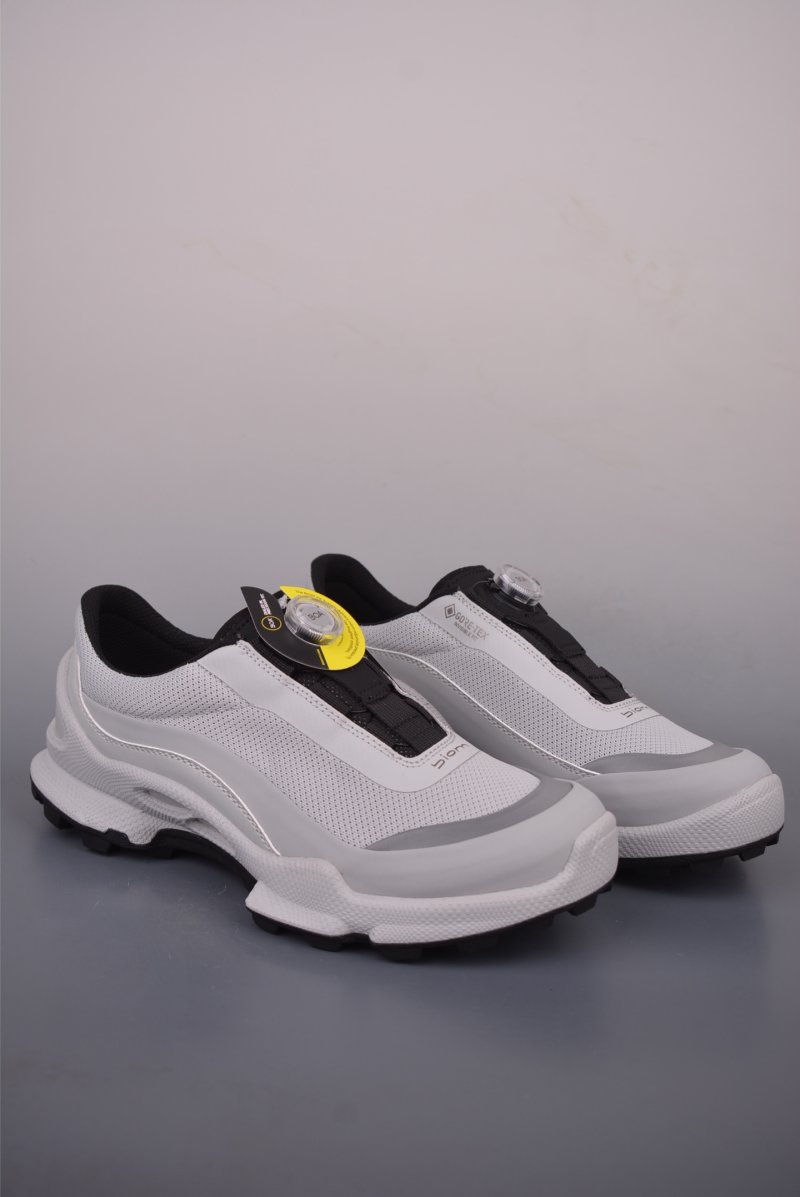 Ecco Biom Gore-Tex