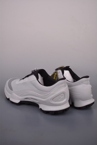 Ecco Biom Gore-Tex view 2