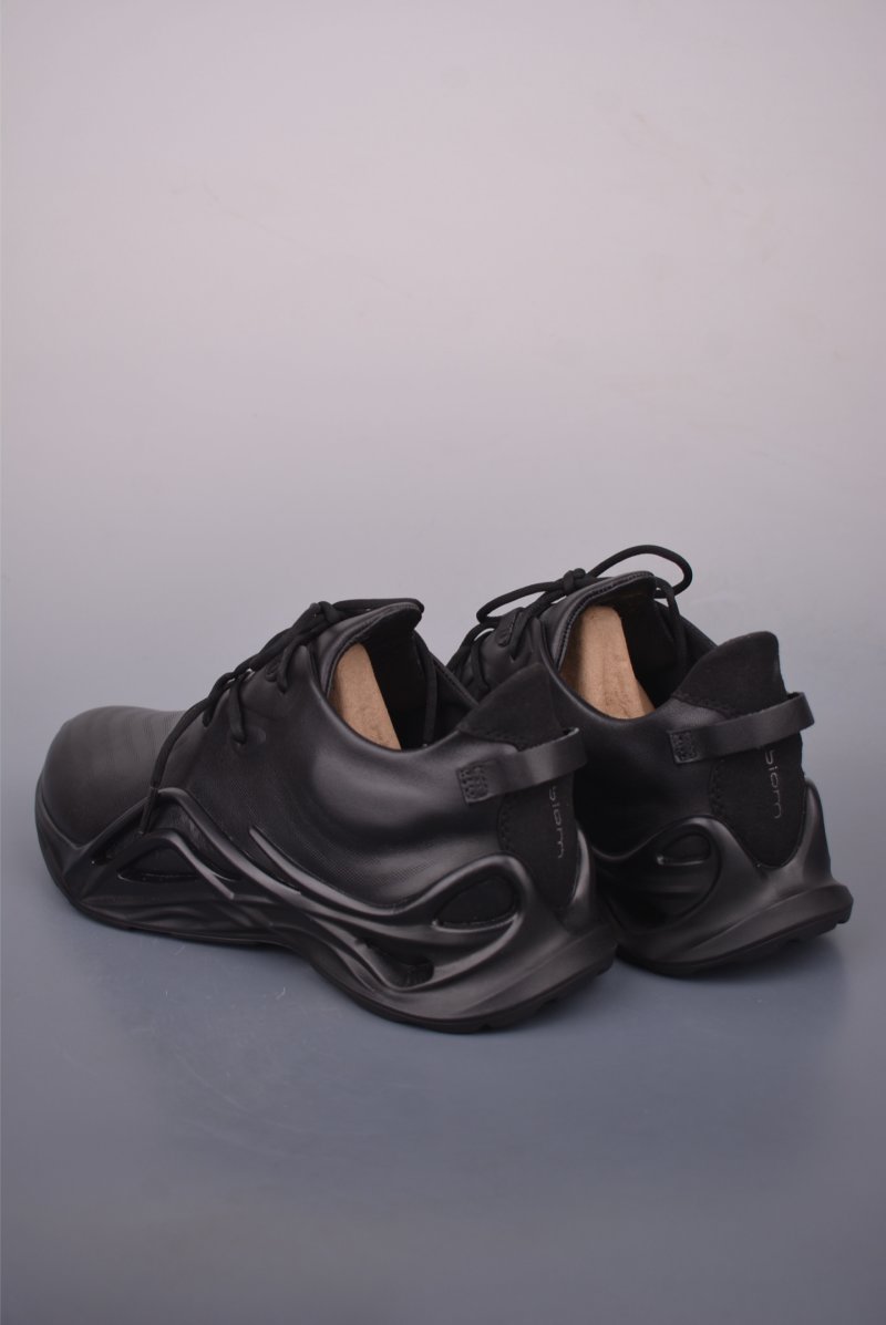 Ecco Biom Gore-Tex view