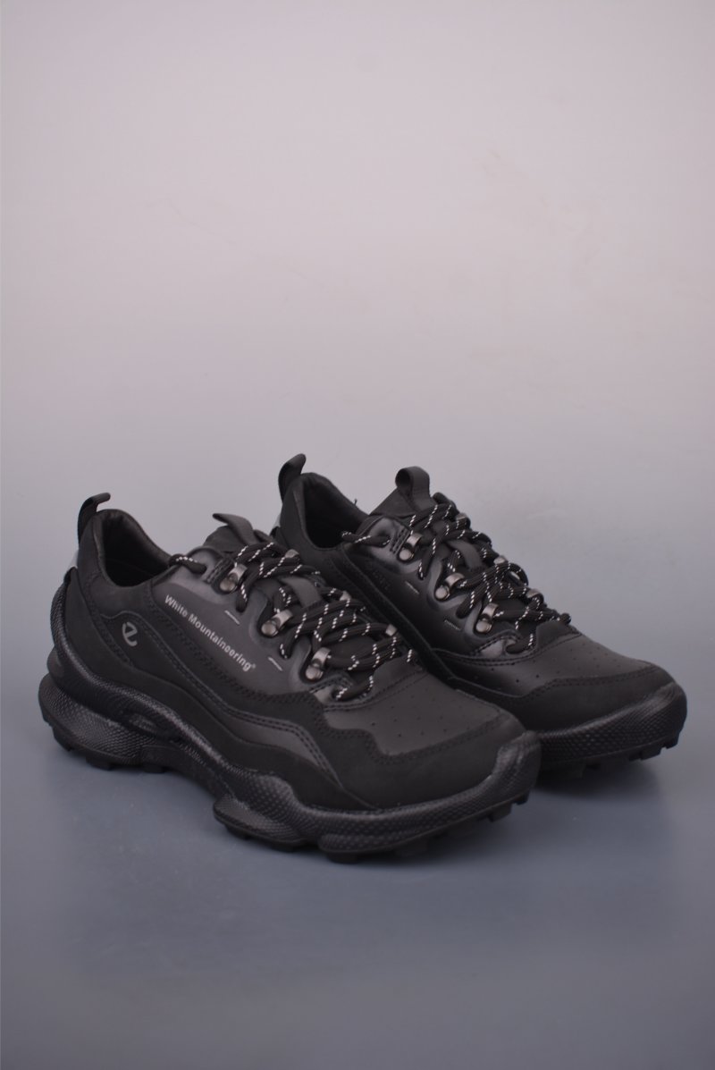 Ecco Biom Gore-Tex
