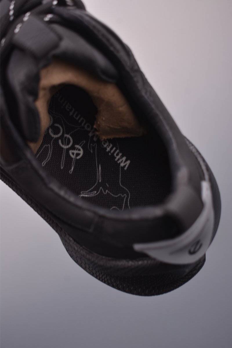 Ecco Biom Gore-Tex view