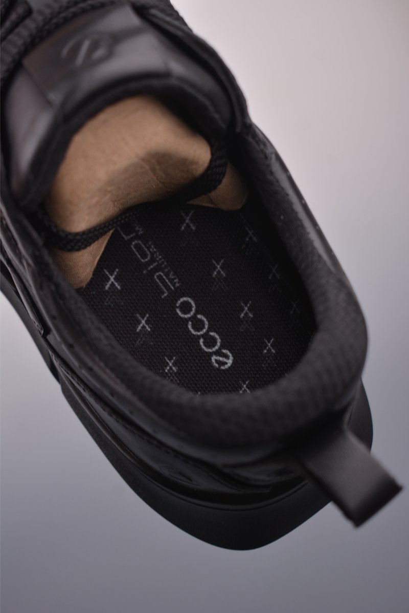 Ecco Biom Gore-Tex view