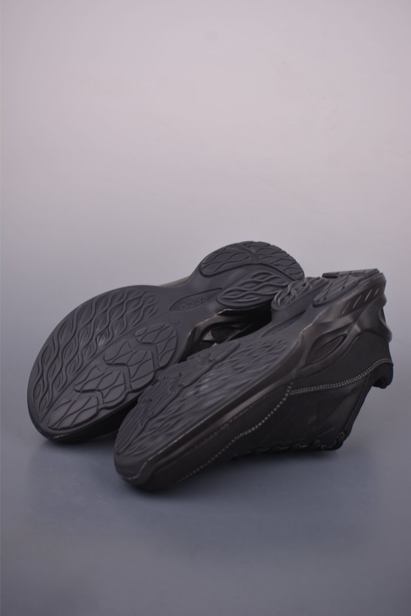 Ecco Biom Gore-Tex view