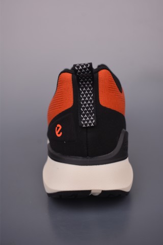 Ecco Biom Gore-Tex view 4