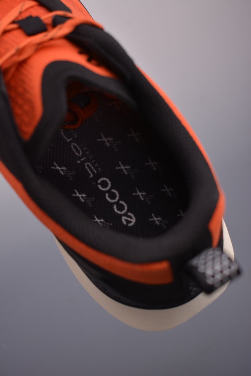 Ecco Biom Gore-Tex view