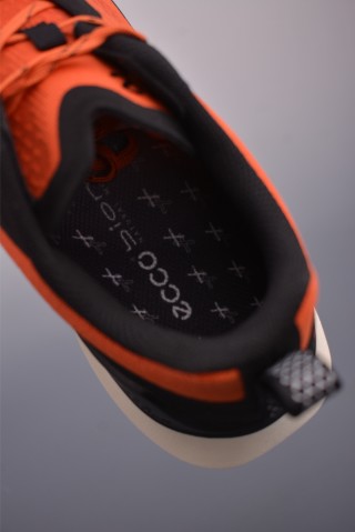 Ecco Biom Gore-Tex view 9