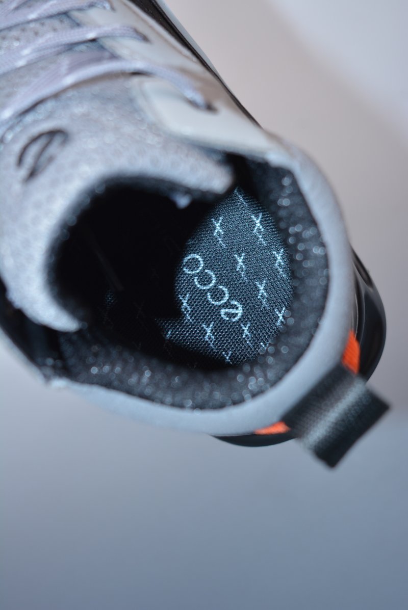 Ecco Biom Gore-Tex PU Ortholite view