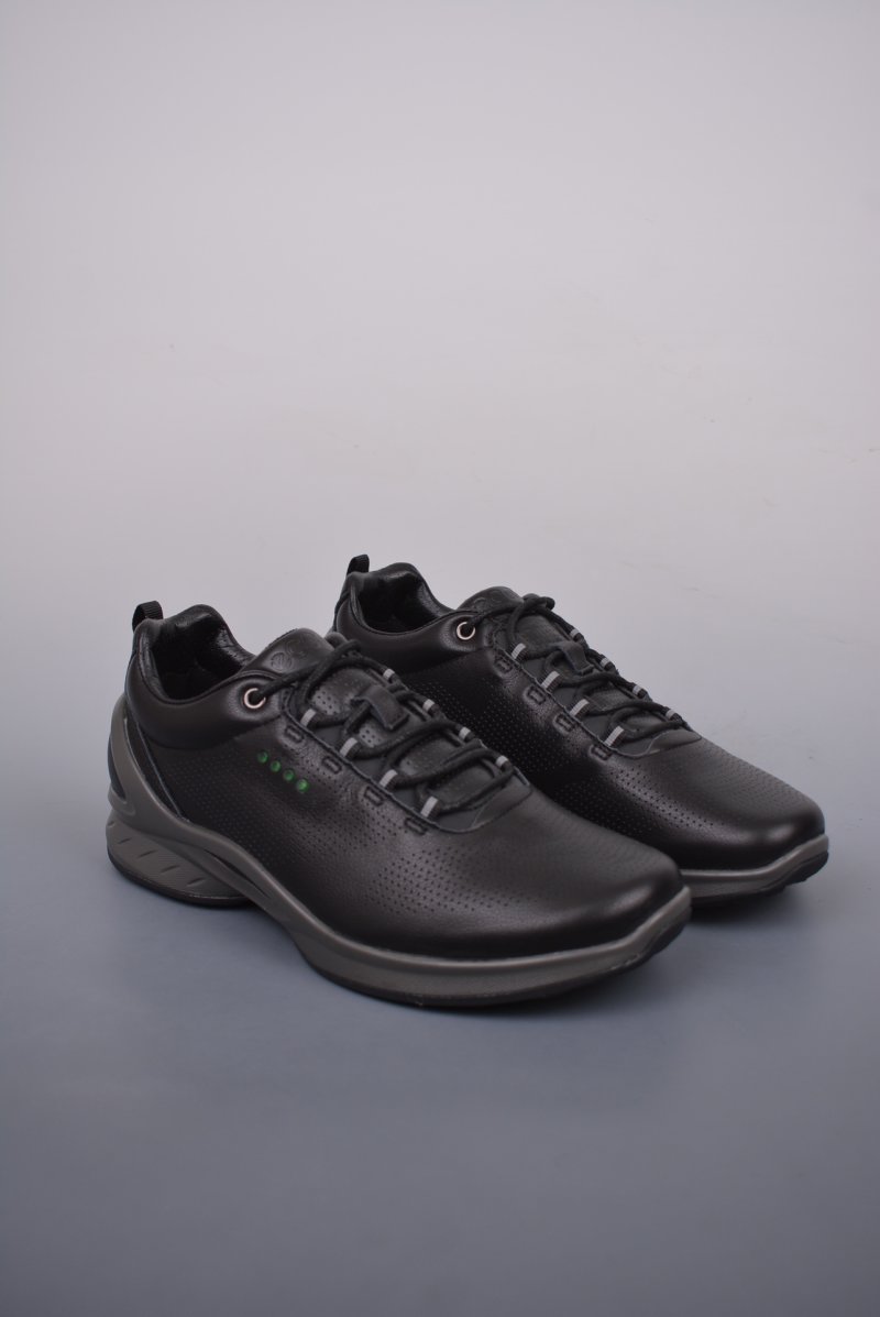 Ecco Biom MX