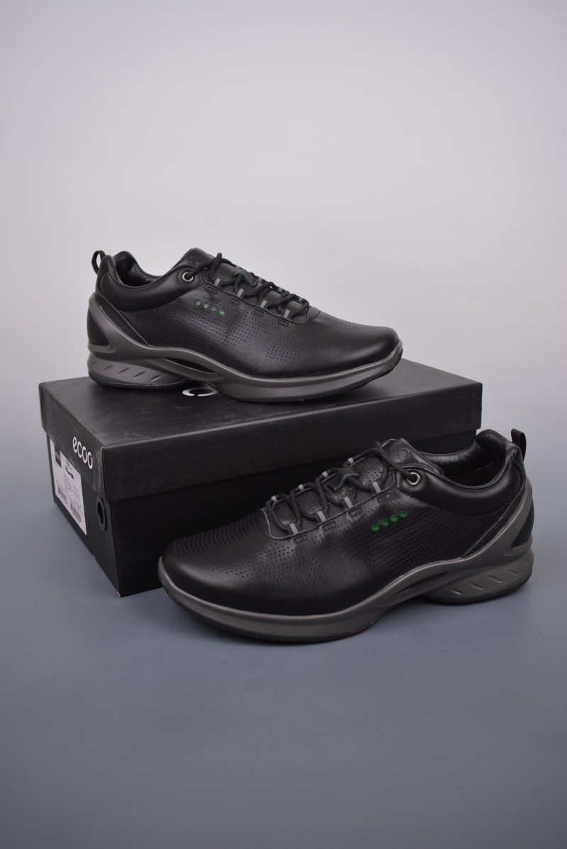 Ecco Biom MX view