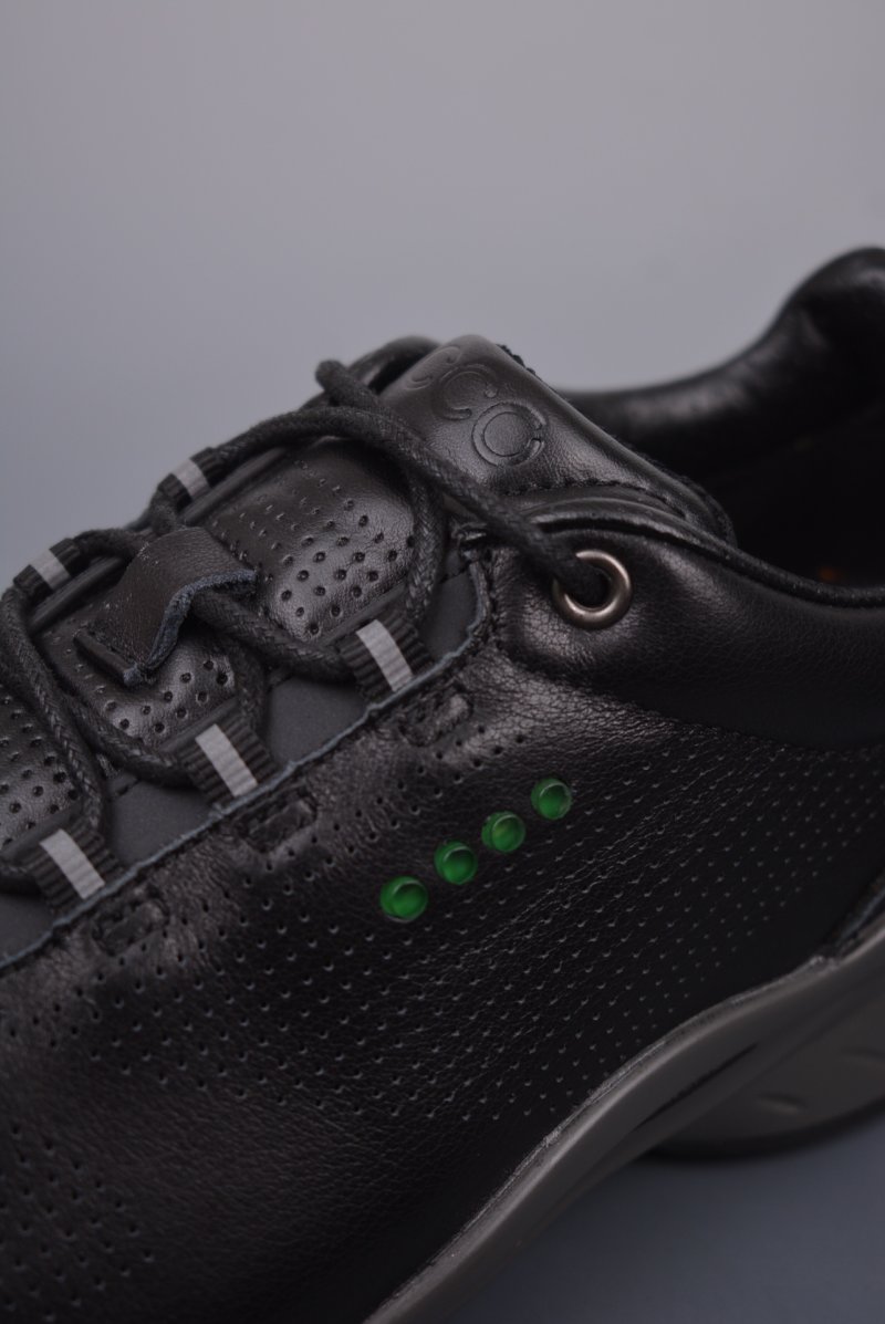 Ecco Biom MX view