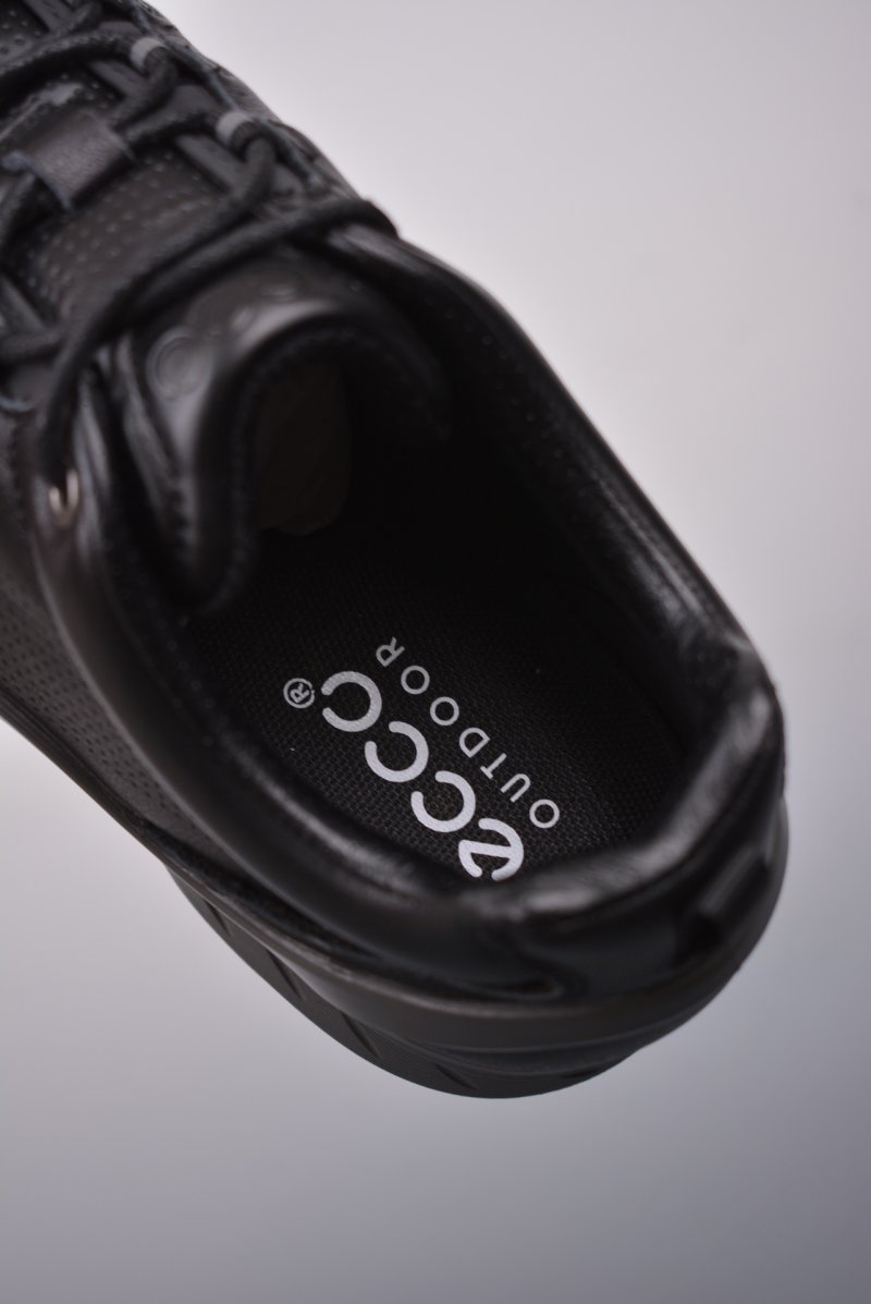 Ecco Biom MX view
