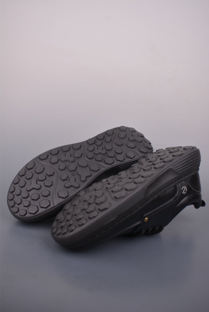 Ecco Biom 2.0 view