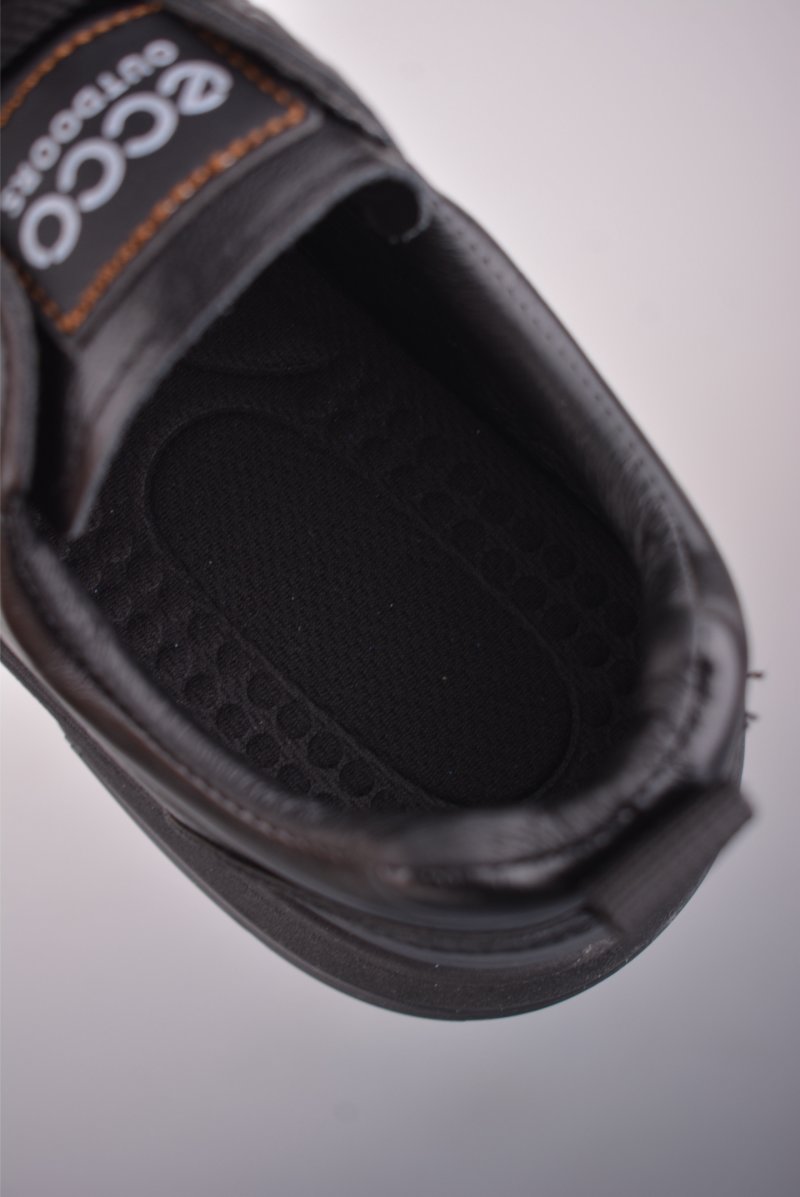 Ecco Biom 2.0 view