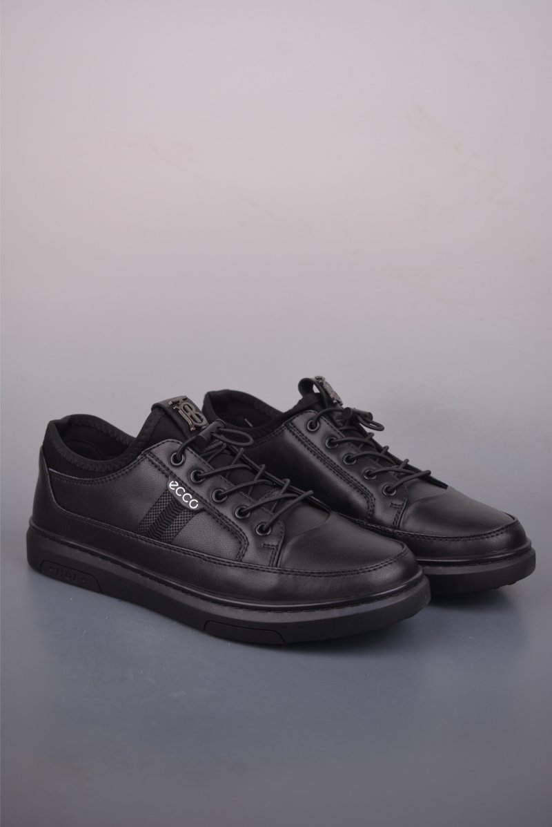 Ecco Biom 2.0