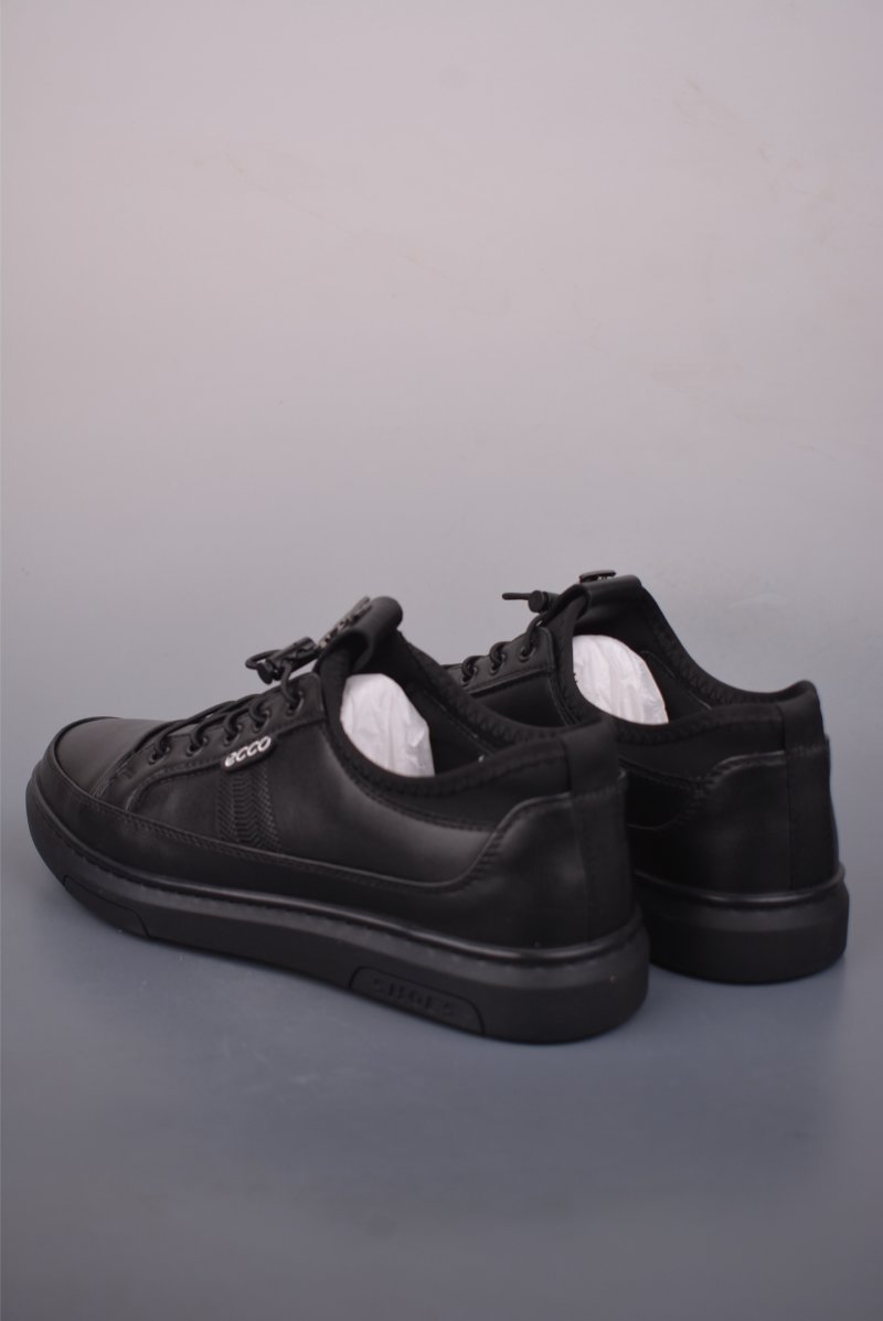 Ecco Biom 2.0 view
