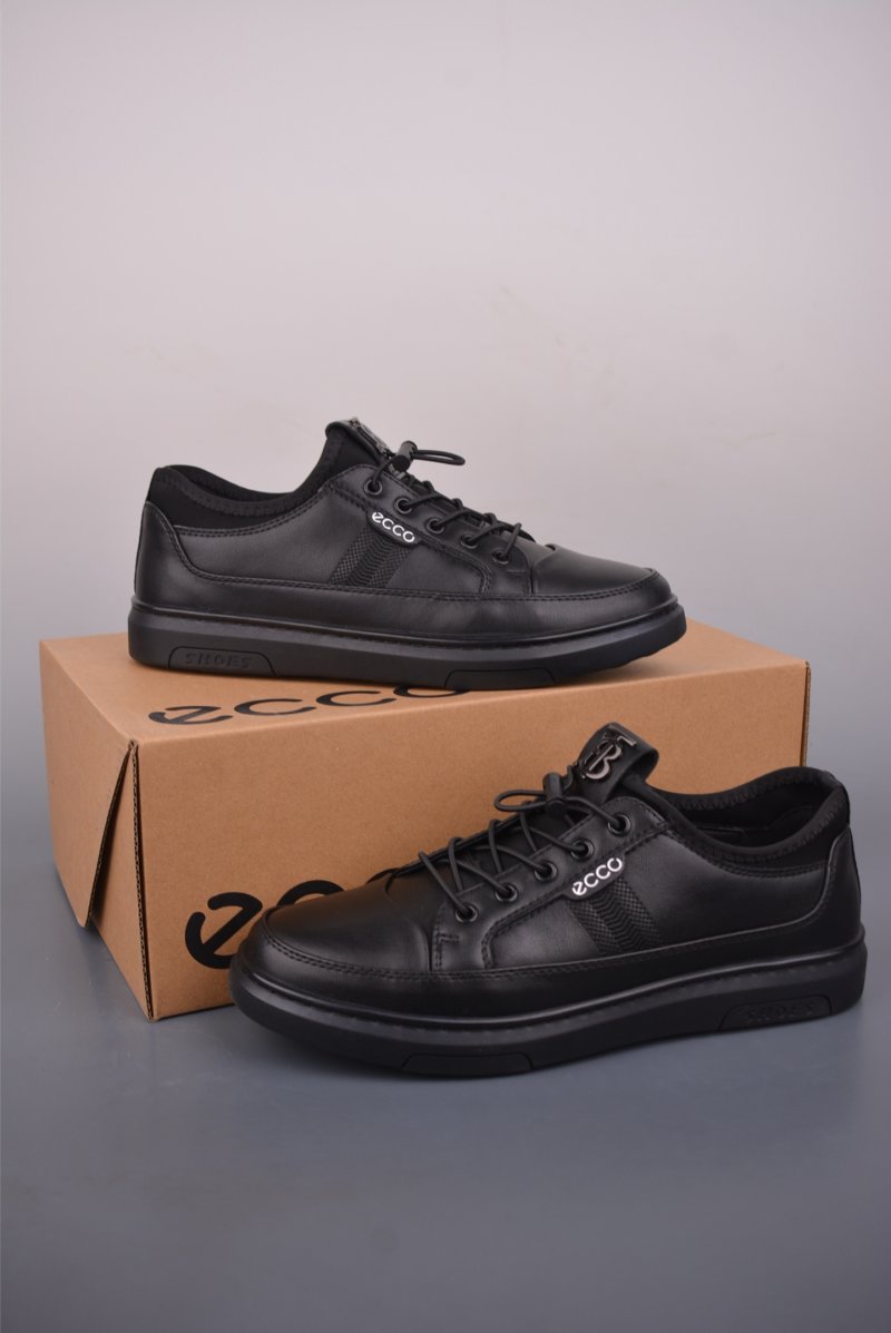 Ecco Biom 2.0 view
