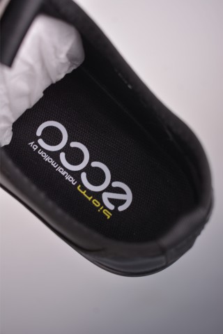 Ecco Biom 2.0 view 9