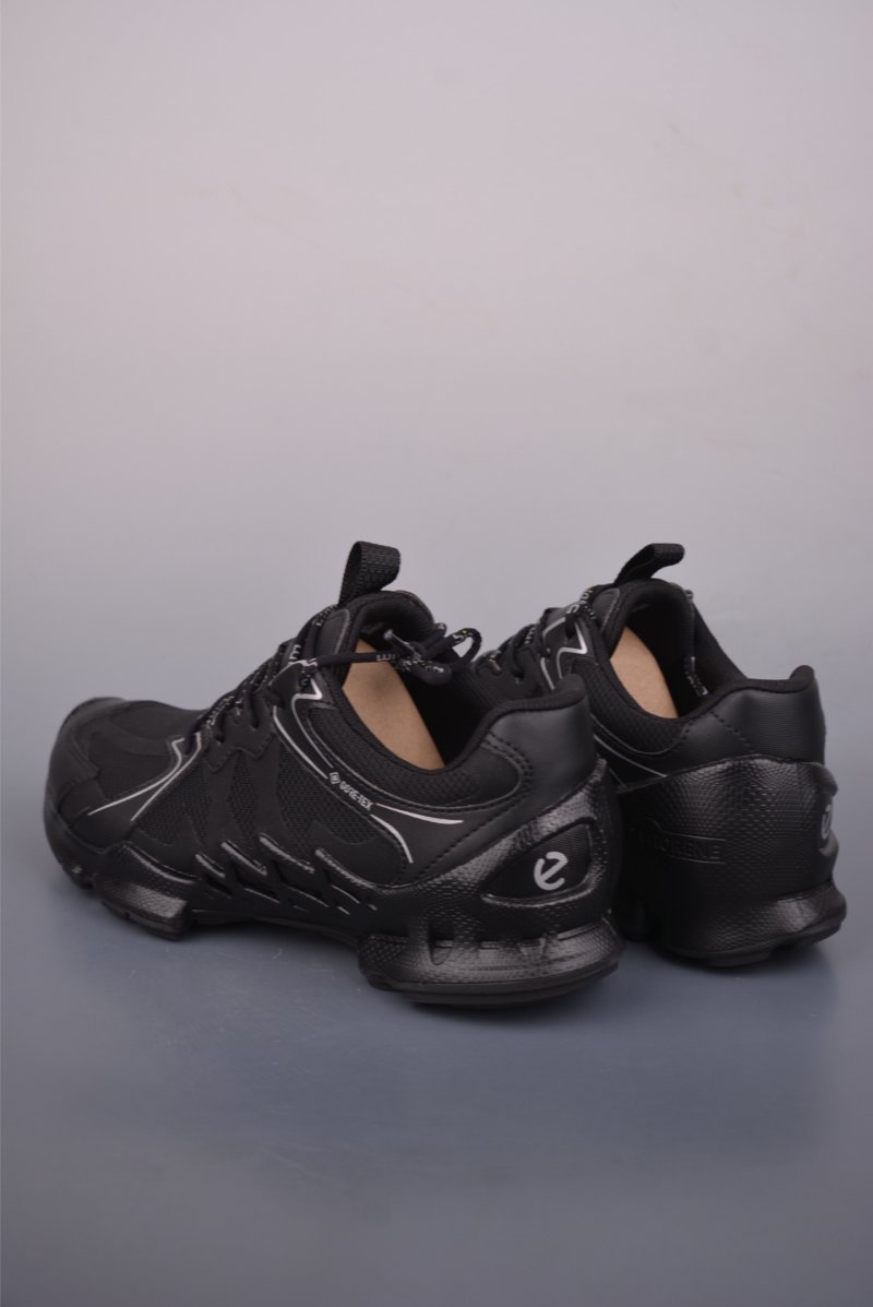 Ecco Biom 2.0 view