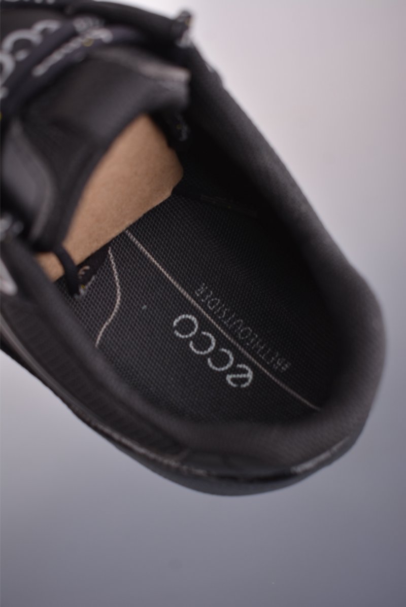 Ecco Biom 2.0 view
