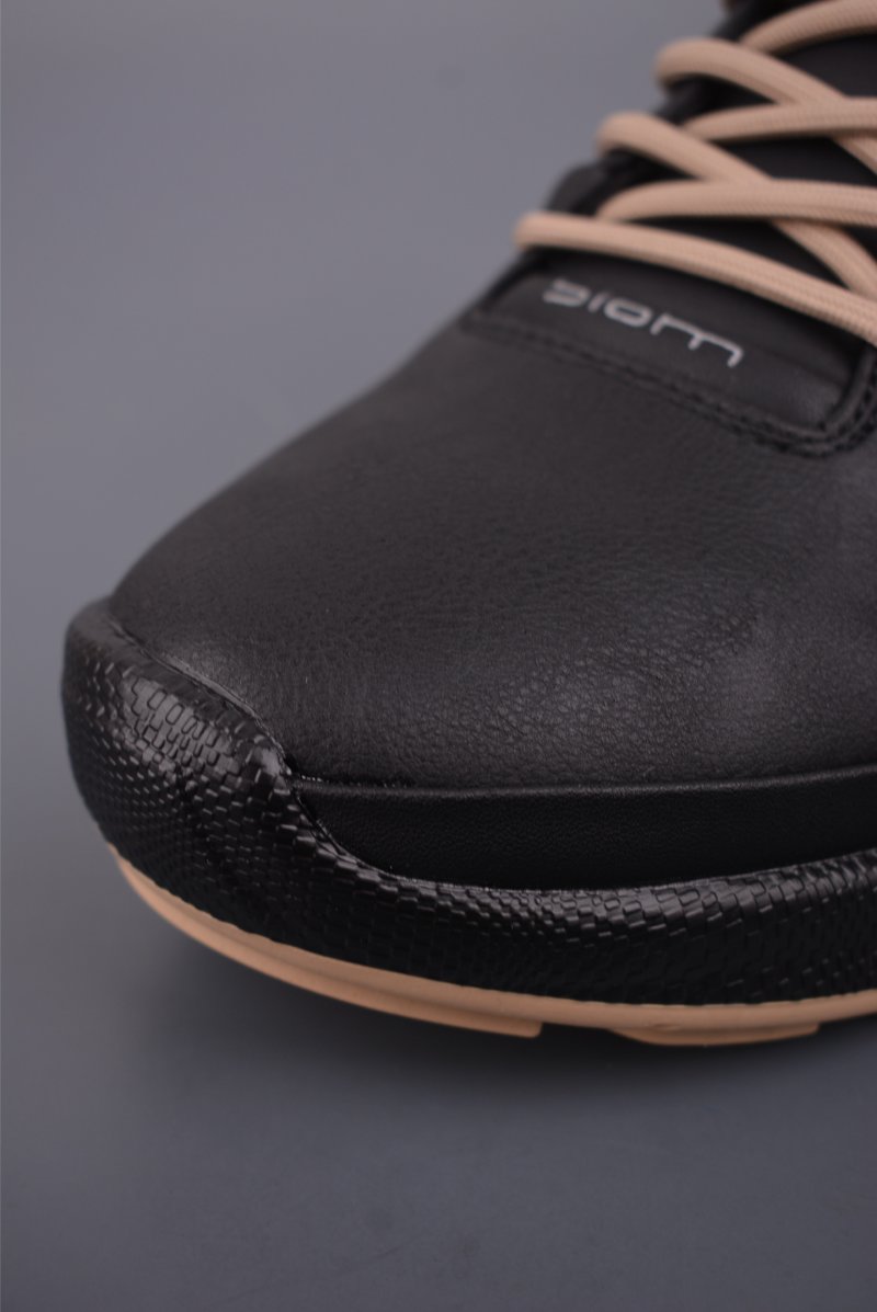 Ecco Biom 2.0 view