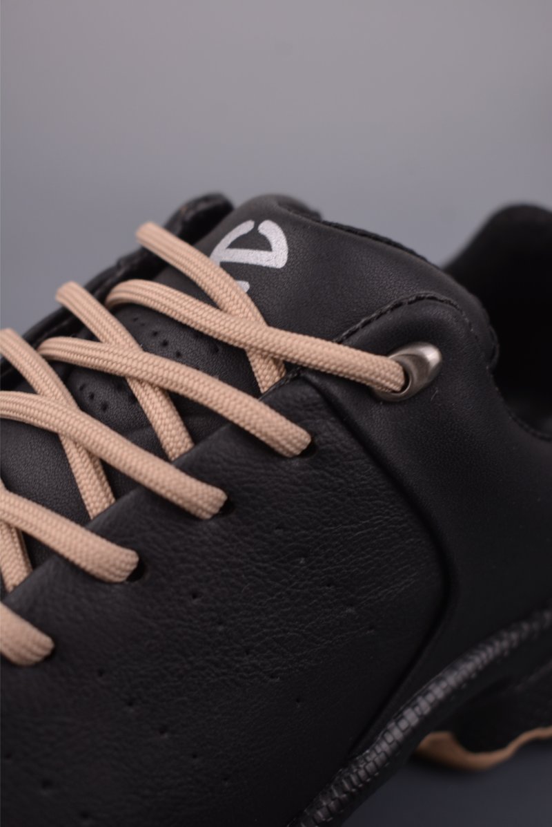Ecco Biom 2.0 view