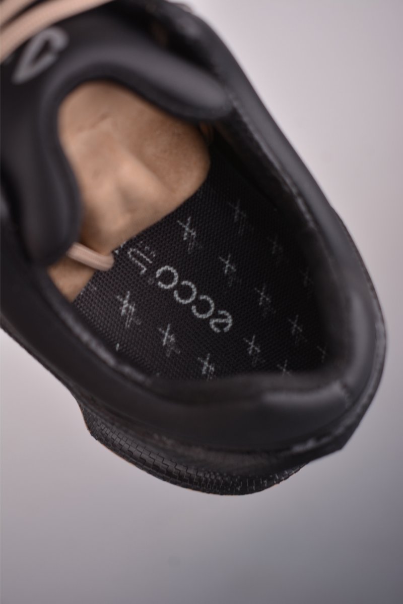Ecco Biom 2.0 view