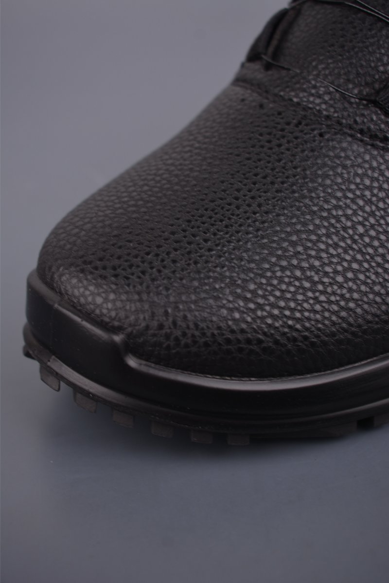 Ecco Biom 2.0 view