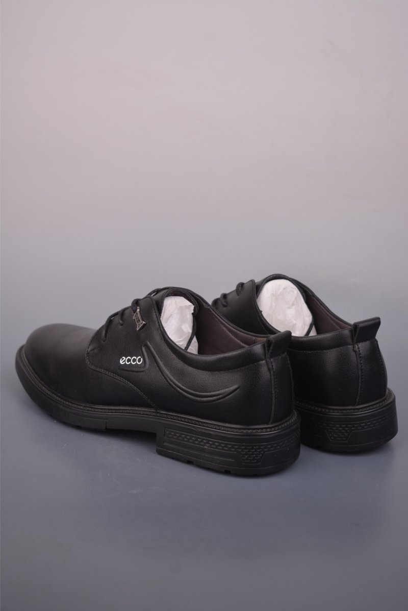 Ecco Biom 2.0 view