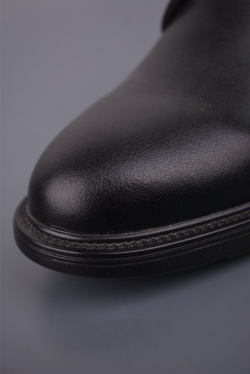 Ecco Biom 2.0 view
