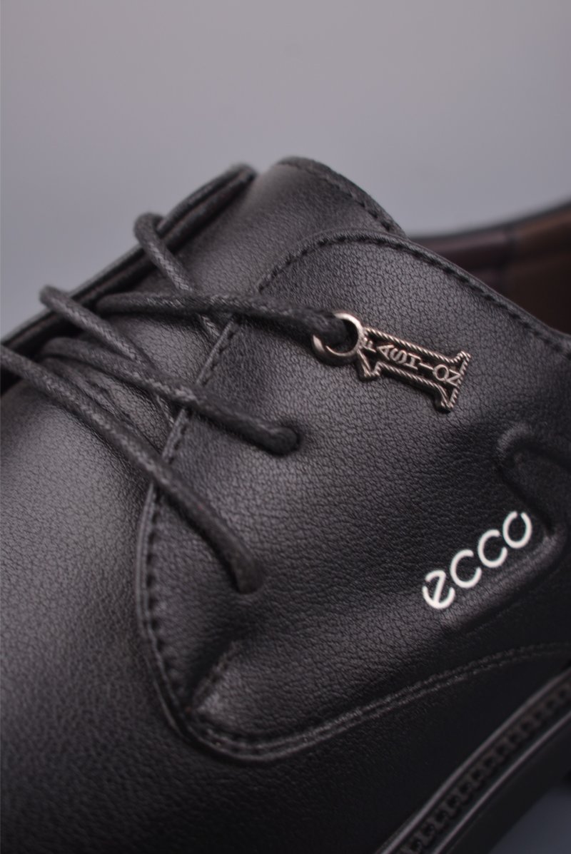 Ecco Biom 2.0 view
