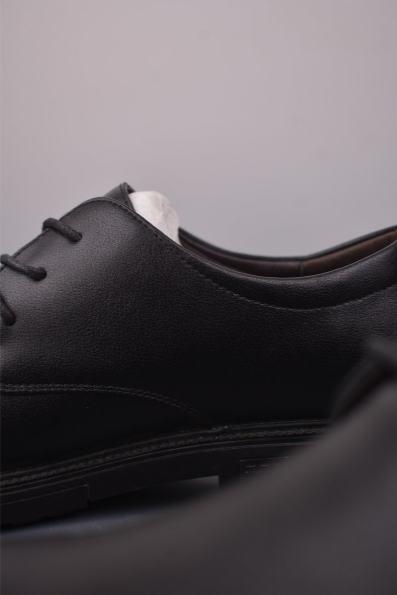 Ecco Biom 2.0 view
