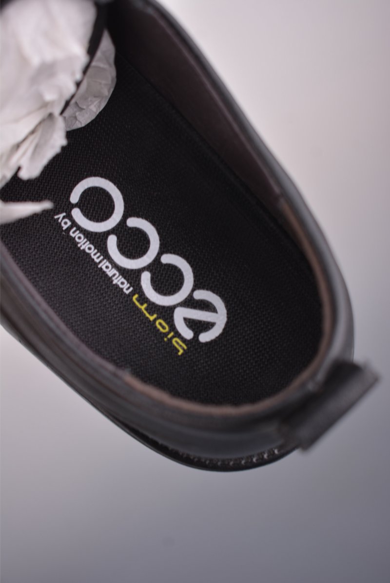 Ecco Biom 2.0 view