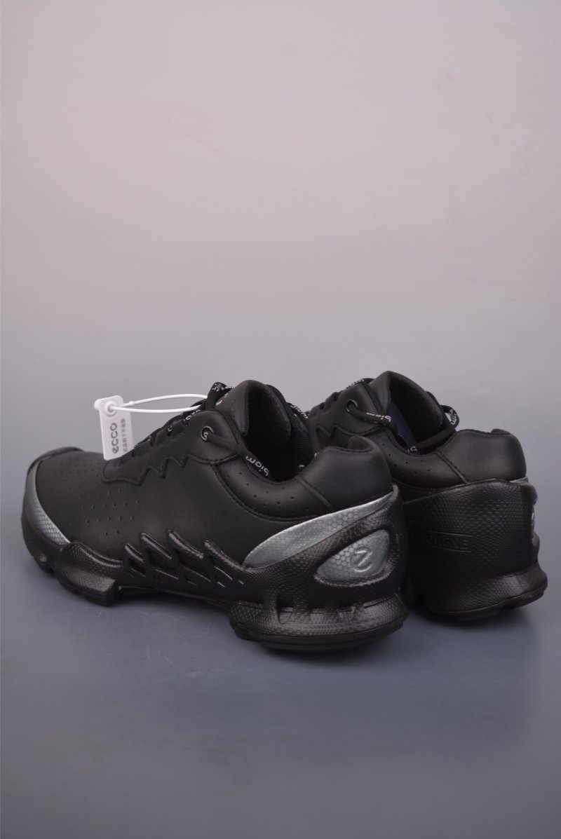 Ecco Biom 2.0 view