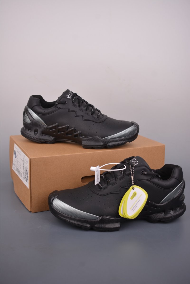 Ecco Biom 2.0 view