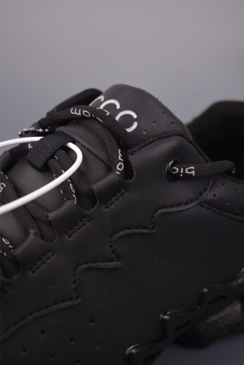 Ecco Biom 2.0 view