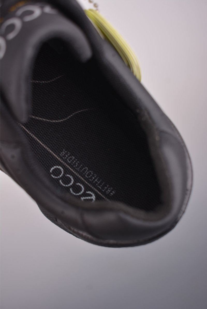 Ecco Biom 2.0 view