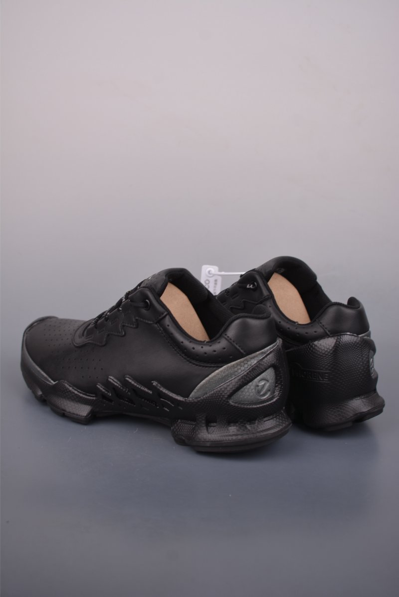 Ecco Biom 2.0 view