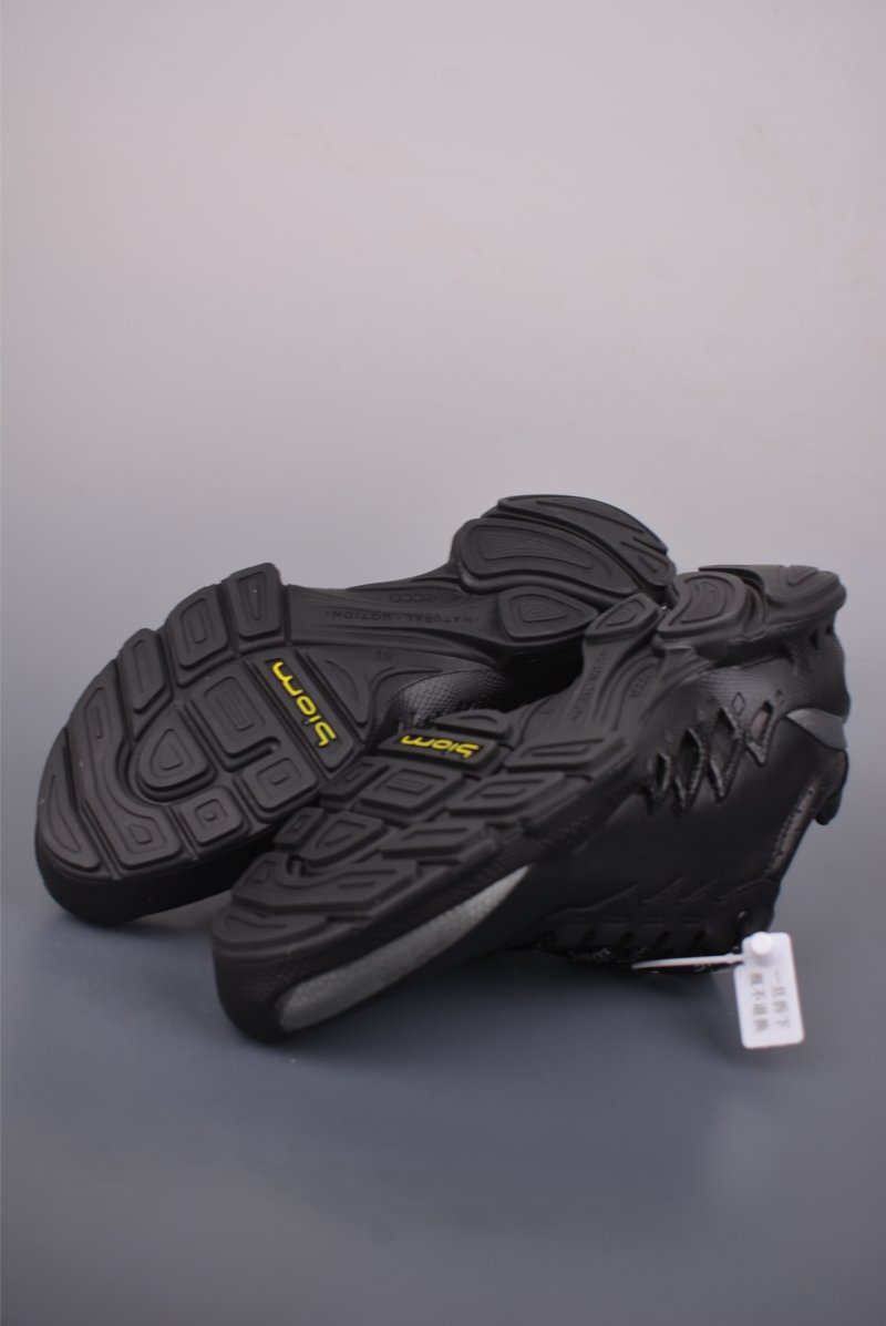 Ecco Biom 2.0 view
