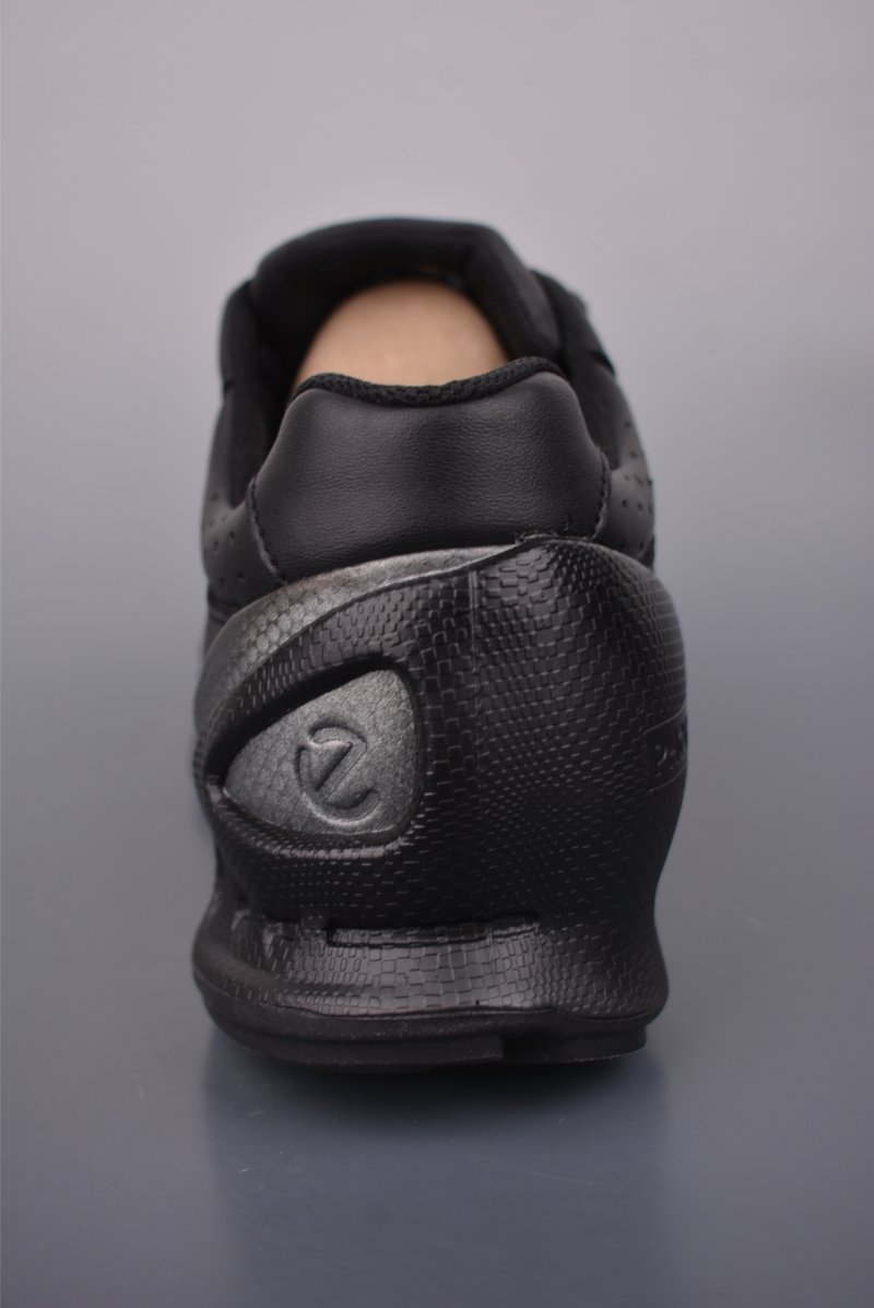 Ecco Biom 2.0 view