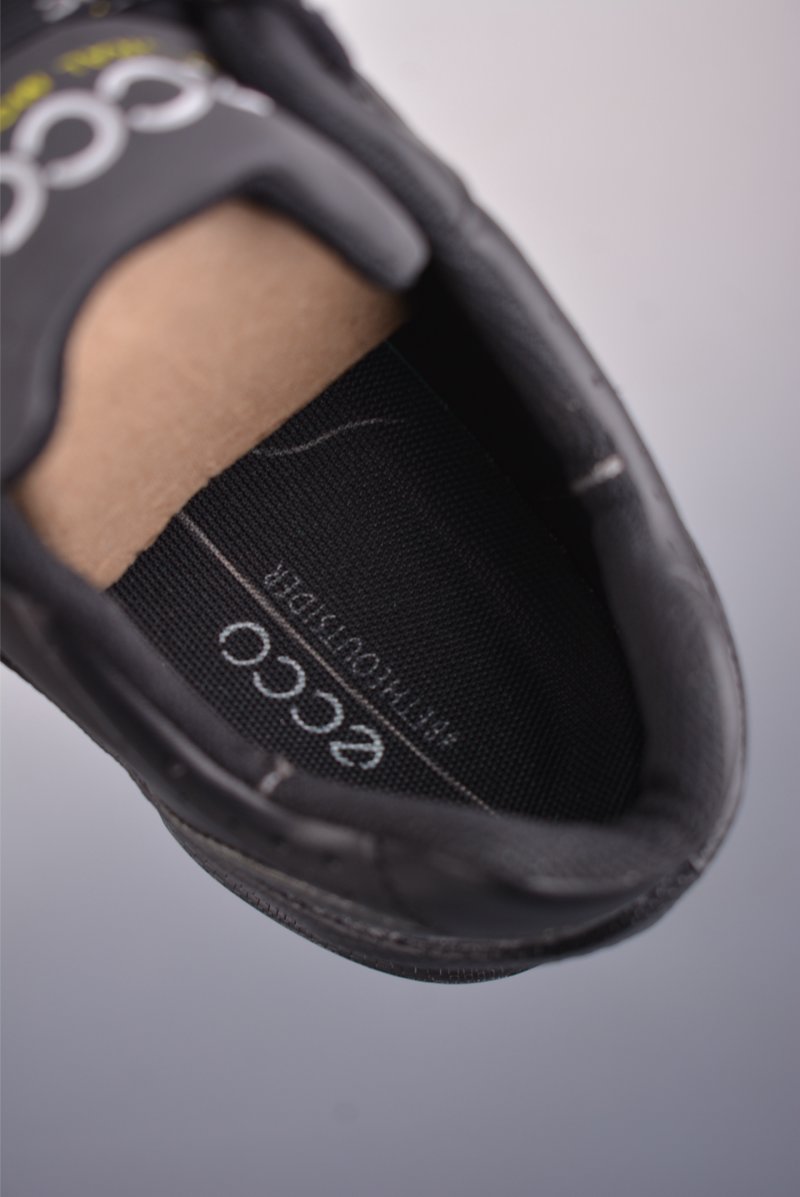 Ecco Biom 2.0 view