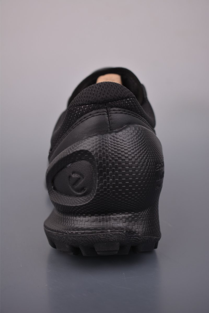 Ecco Biom 2.0 view