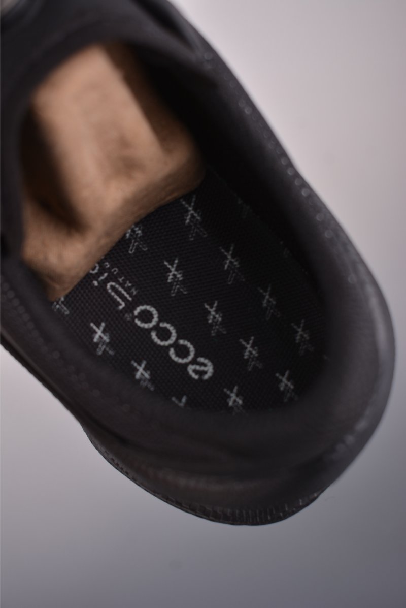 Ecco Biom 2.0 view