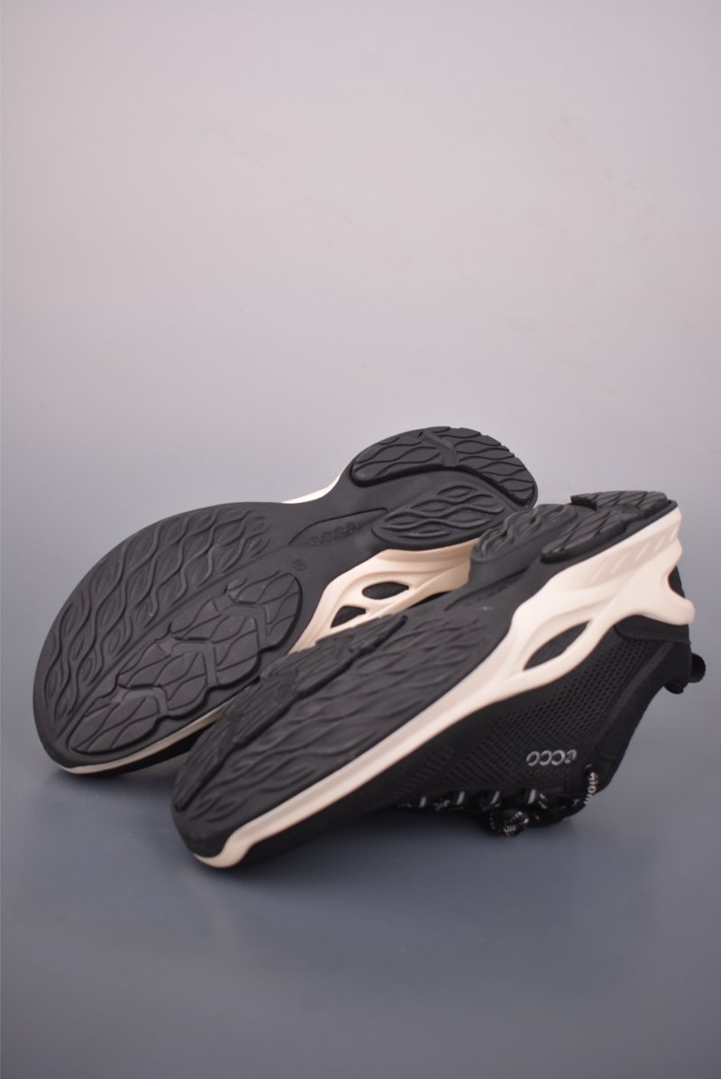 Ecco Biom 2.0 view