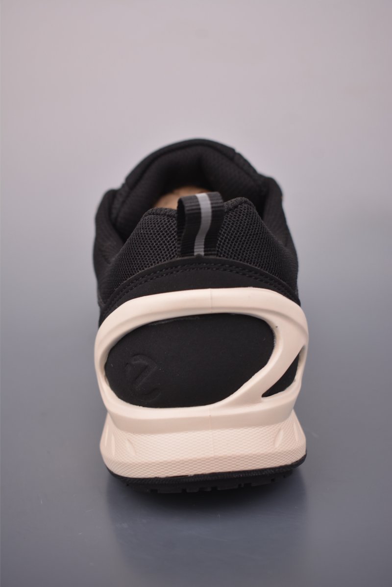 Ecco Biom 2.0 view