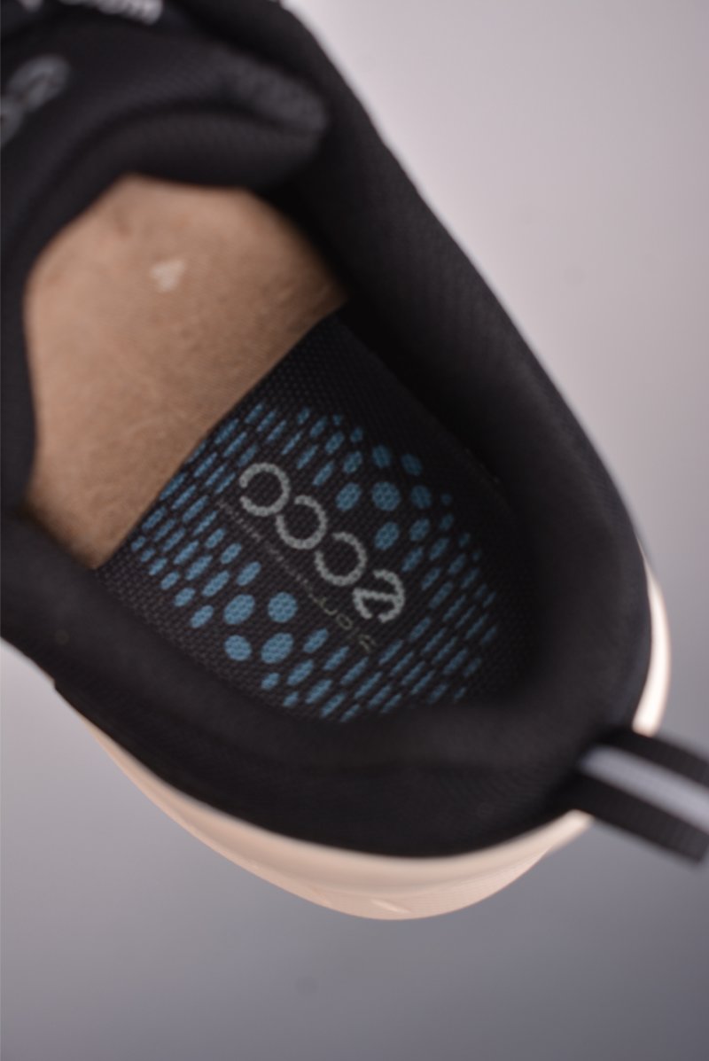 Ecco Biom 2.0 view