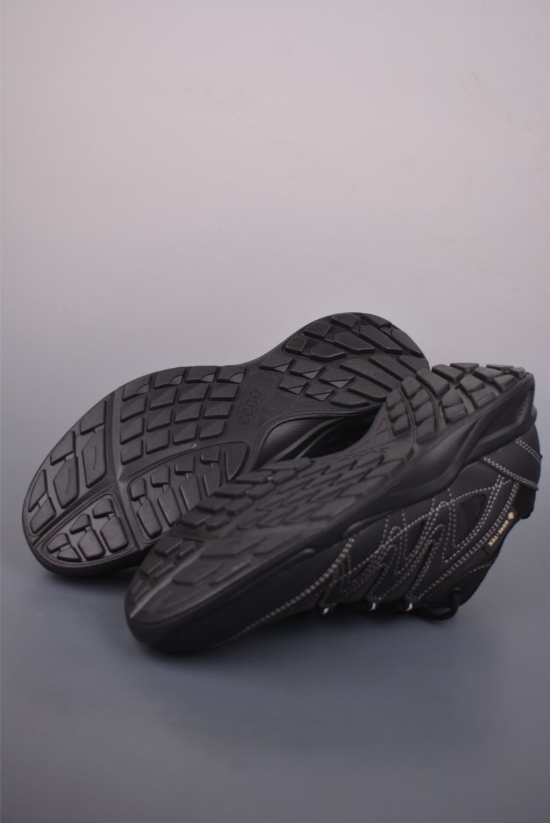Ecco Biom 2.0 view
