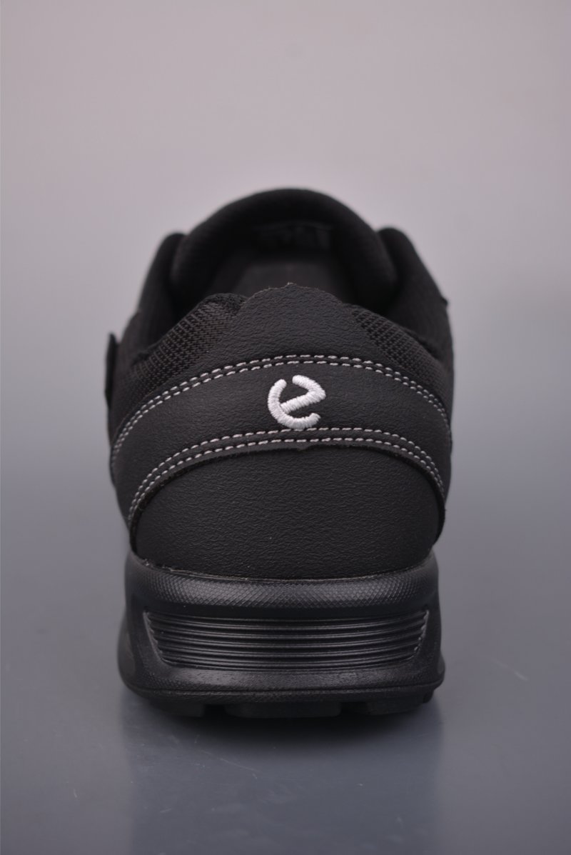 Ecco Biom 2.0 view